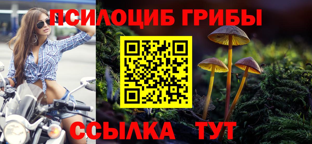 хочу   Вход с VPN  Галлюциногенные грибы мухоморы  Губкин  Псилоцибиновые грибы Psilocybine cubensis 