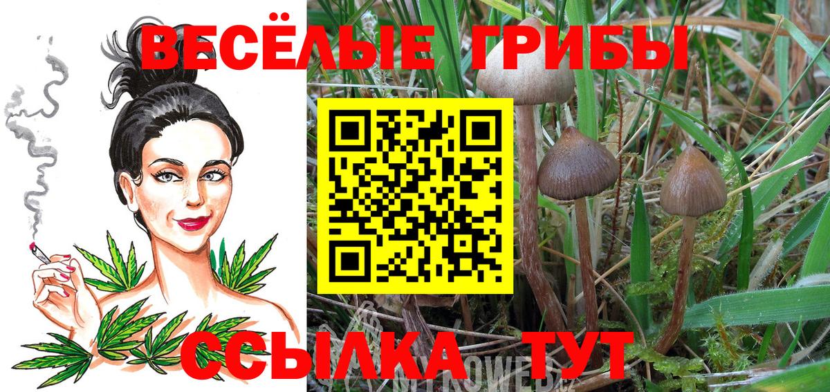 Галлюциногенные грибы прущие грибы Губкин
