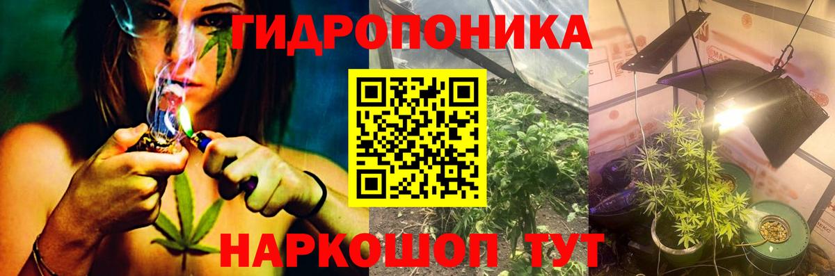 Меф Губкин